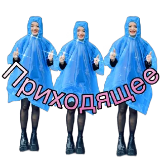 🥳 emoji Pisya korolevA Telegram sticker 8 of 68