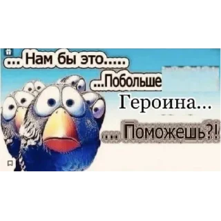 Sticker from кто нах by zedq