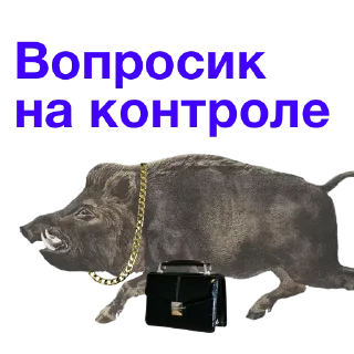 Sticker from Свои