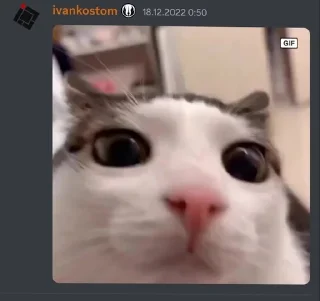 Sticker from Иван Костомаров