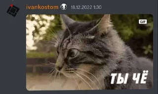 Sticker from Иван Костомаров
