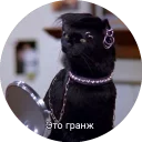 🎸 emoji Кот Салем Telegram sticker 7 of 46