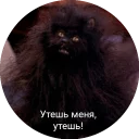 😣 emoji Кот Салем Telegram sticker 11 of 46