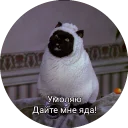 😩 emoji Кот Салем Telegram sticker 24 of 46