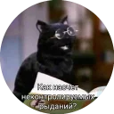 Sticker from Кот Салем