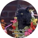 💃 emoji Кот Салем Telegram sticker 14 of 46