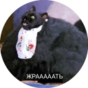 Sticker from Кот Салем