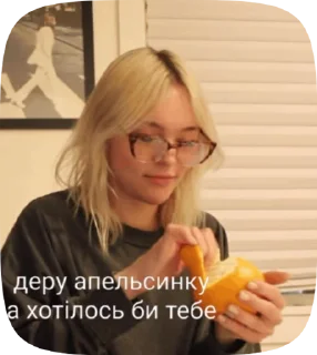 🍊 emoji Родина: Форт Салем Telegram sticker 23 of 50