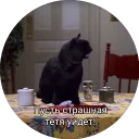😩 emoji Кот Салем Telegram sticker 23 of 46