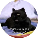 Sticker from Кот Салем