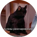 😥 emoji Кот Салем Telegram sticker 12 of 46