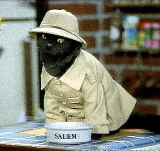 Sticker from salem