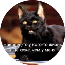 😌 emoji Кот Салем Telegram sticker 8 of 46