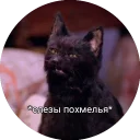 😰 emoji Кот Салем Telegram sticker 20 of 46