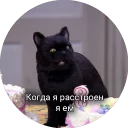 🍖 emoji Кот Салем Telegram sticker 21 of 46