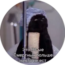 Sticker from Кот Салем