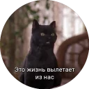 🙄 emoji Кот Салем Telegram sticker 18 of 46