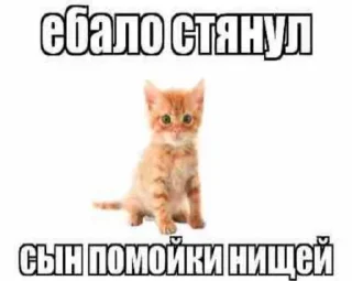 Sticker from я ебал, меня сосали