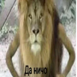Sticker from Херь