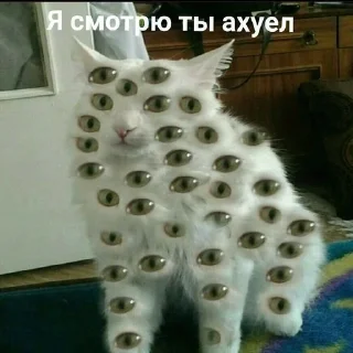143 sticker 1