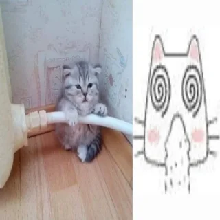 котеке sticker 1