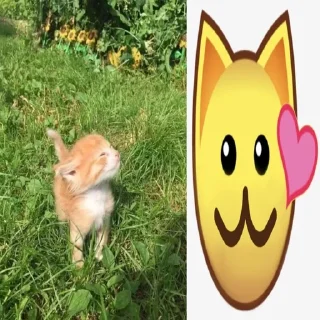 котеке sticker 3