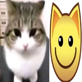 котеке sticker 2