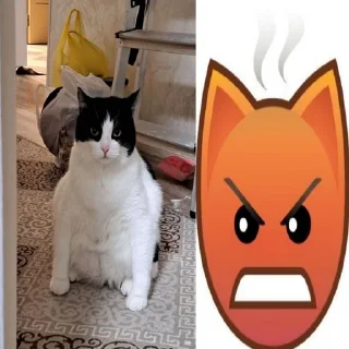 котеке sticker 4