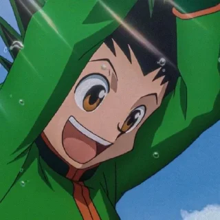 Sticker from 💚Gon Freecss✨
