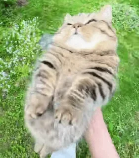 Sticker from Кто прочитал тот котек