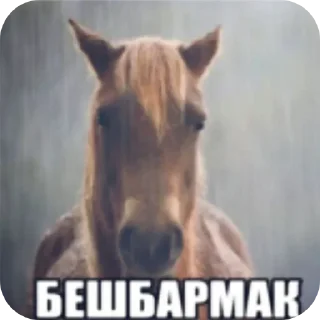 Sticker from БОЛЬШЕ ⇨ @CLOOBHUB МЕМЫ РАСТЯПА ОПЛОШНОСТЬ ТГ МГА