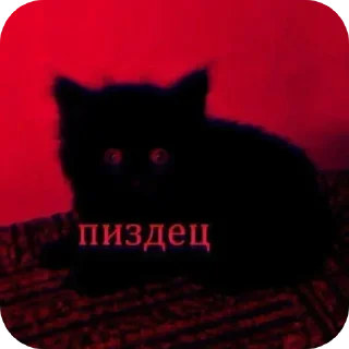 Sticker from БОЛЬШЕ ⇨ @CLOOBHUB МЕМЫ РАСТЯПА ОПЛОШНОСТЬ ТГ МГА