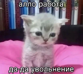 Sticker from Котеке 2