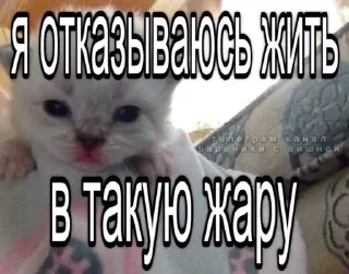Sticker from Котеке