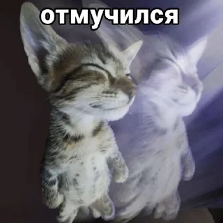 Sticker from Котеке 2