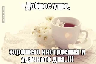 ❤️ emoji Sofa_ya_tebya_lybly Telegram sticker 22 of 30