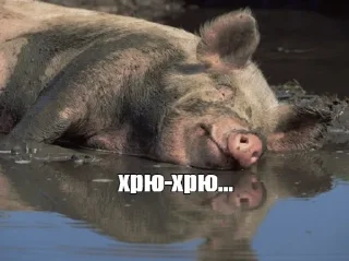 Sticker from Страшно