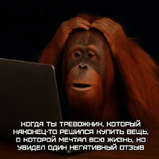 🤣 emoji МЕМАЧ :: @ArdemLegend Telegram sticker 10 of 20