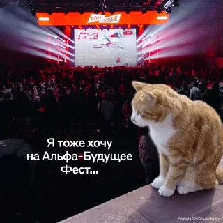 🤣 emoji МЕМАЧ :: @ArdemLegend Telegram sticker 5 of 20