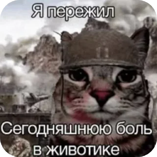 🖼 emoji Рандом фигня из интернета Telegram sticker 15 of 30