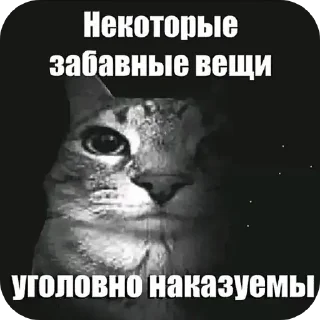 🖼 emoji Рандом фигня из интернета Telegram sticker 8 of 30