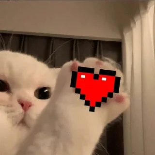 🌟 emoji Подари мне любовь разбивая руки в кровь... Telegram sticker 6 of 46