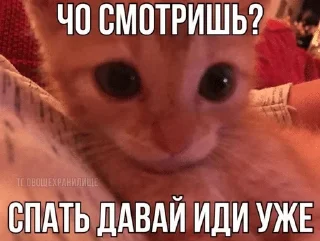 🌟 emoji Подари мне любовь разбивая руки в кровь... Telegram sticker 15 of 46