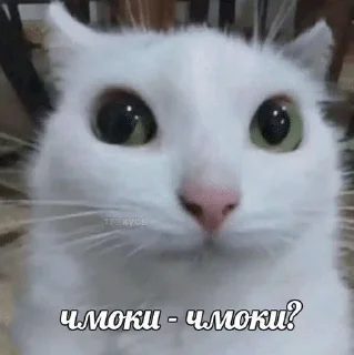 🌟 emoji Подари мне любовь разбивая руки в кровь... Telegram sticker 19 of 46