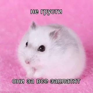 🌟 emoji Подари мне любовь разбивая руки в кровь... Telegram sticker 9 of 46