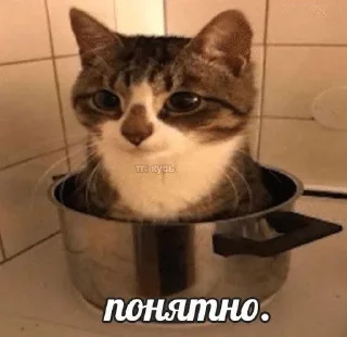 🌟 emoji Подари мне любовь разбивая руки в кровь... Telegram sticker 20 of 46