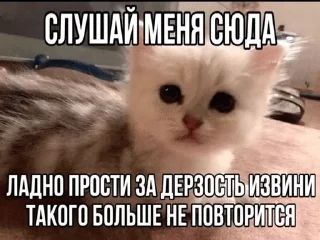 🌟 emoji Подари мне любовь разбивая руки в кровь... Telegram sticker 11 of 46