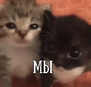 🌟 emoji Подари мне любовь разбивая руки в кровь... Telegram sticker 12 of 46