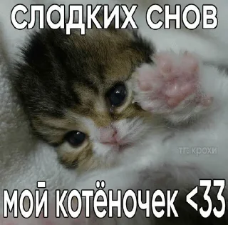 🌟 emoji Подари мне любовь разбивая руки в кровь... Telegram sticker 4 of 46