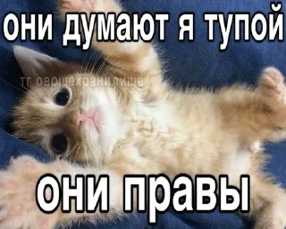 🌟 emoji Подари мне любовь разбивая руки в кровь... Telegram sticker 14 of 46
